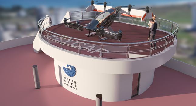 Ocean Life Residence teras seyir alanı